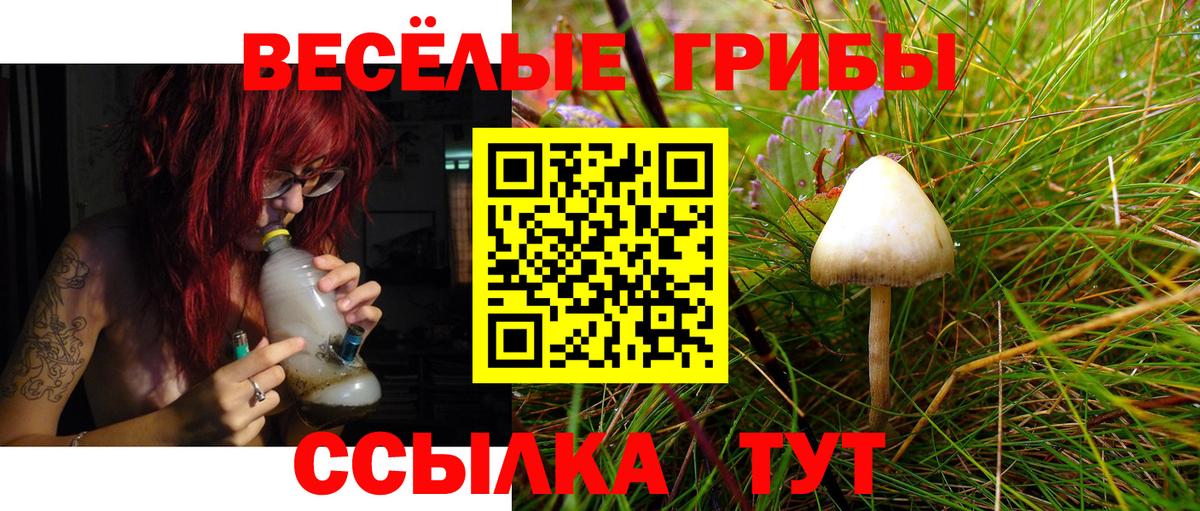 Галлюциногенные грибы GOLDEN TEACHER  Вход с VPN  Ефремов 