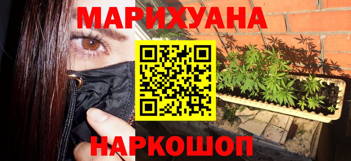 Бошки Шишки планчик Ефремов